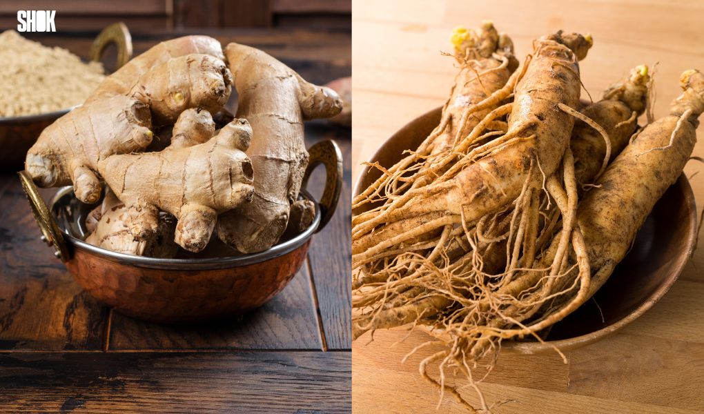 Gingembre ou ginseng : lequel choisir pour faire le plein d’énergie ?