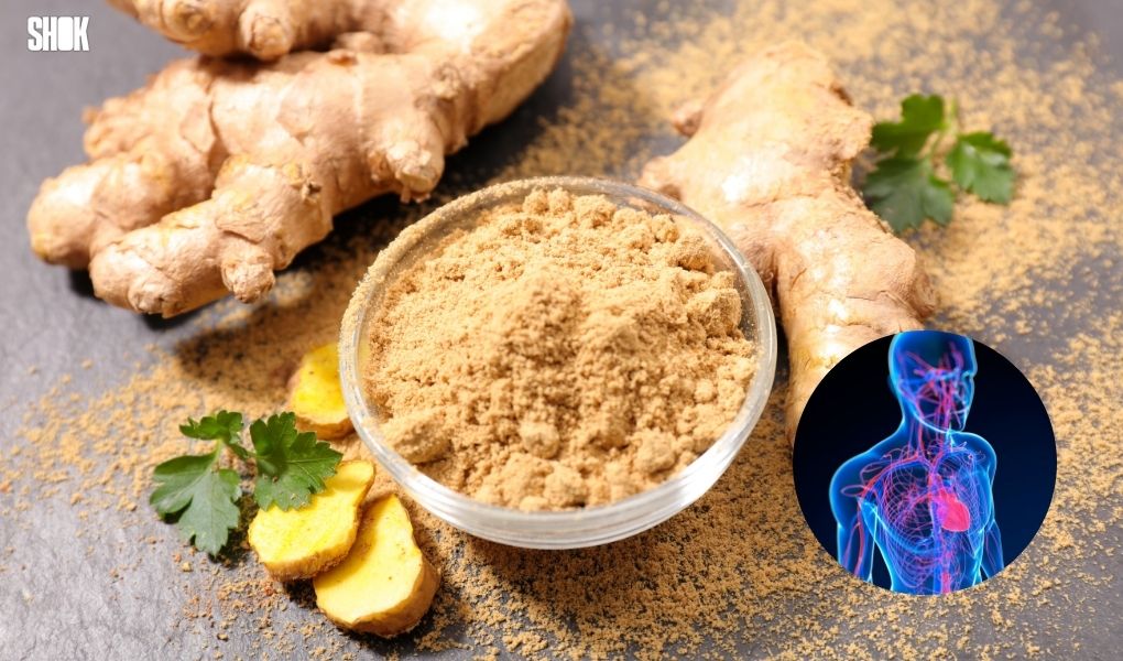 Gingembre et système immunitaire